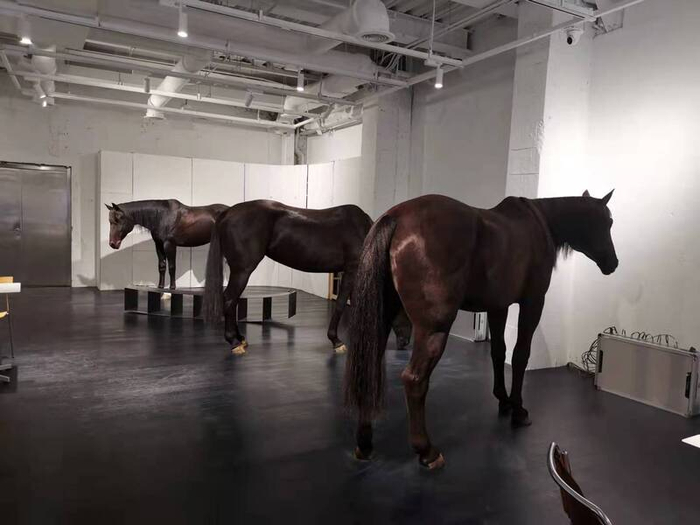 HAUSSHANGHAI中国旗舰店内的机器马。