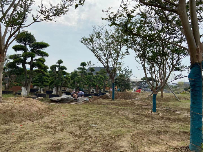 正在干活的村民