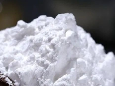 淀粉，平凡常见又不可或缺。