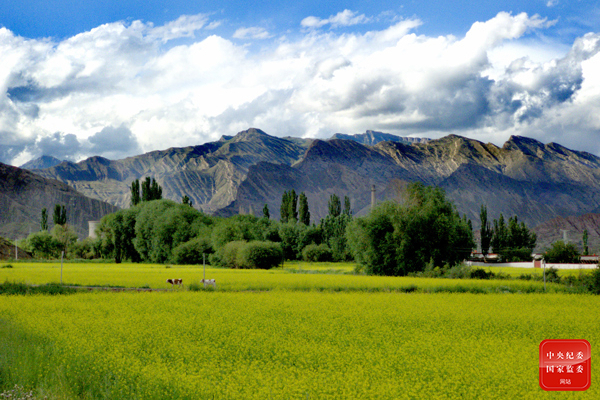 白水明田外，碧峰出山后。（新疆维吾尔自治区阿克苏地区拜城县纪委监委供 张刚年 摄）