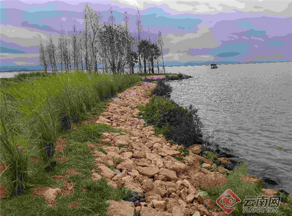 宝丰湿地新景观 赵岗 摄