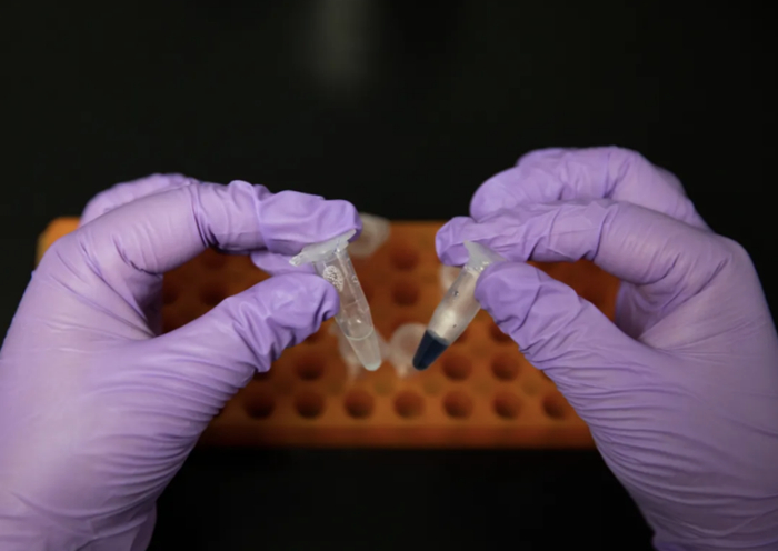 此次中国科研团队人工合成的淀粉样品。图源：新华社