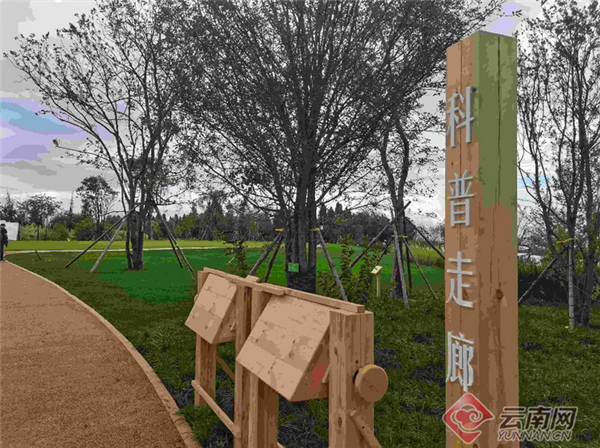 宝丰湿地新景观 赵岗 摄