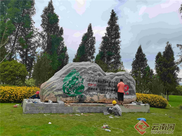 宝丰湿地新景观 赵岗 摄