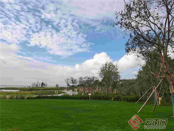 宝丰湿地新景观 赵岗 摄