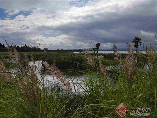宝丰湿地新景观 赵岗 摄