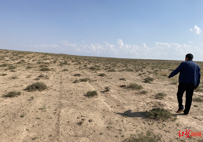 ↑当地人形容植树造林是“生命工程”。图源：红星新闻