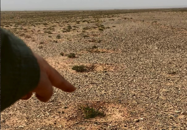 ↑遭遇质疑后，蚂蚁森林实地探访拍摄的梭梭种植网格。图源：微博