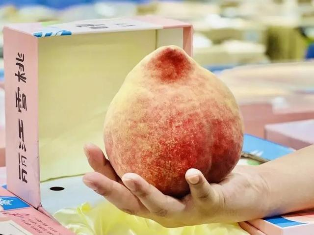 △被称为“国宴桃”的丽江雪桃