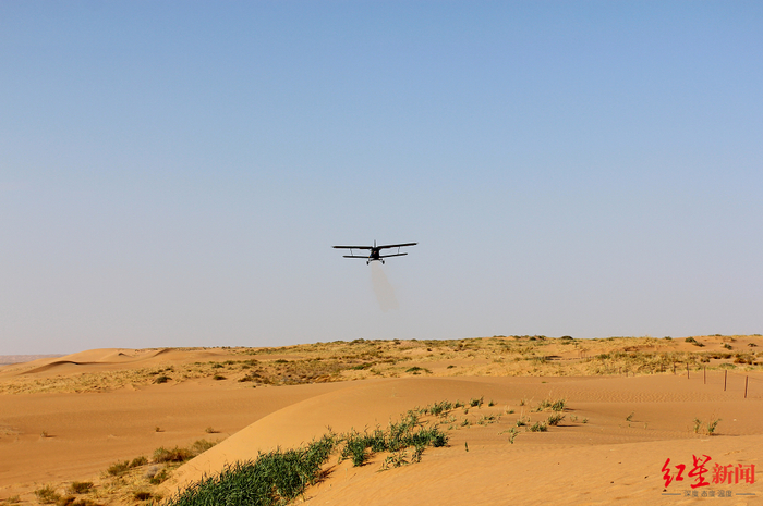↑当地飞播造林的情形。图源：阿拉善盟林草局