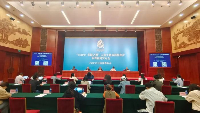 发布会现场 赵嘉 摄