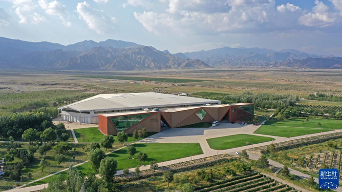 位于宁夏贺兰山东麓的长城云漠酒庄（无人机照片，9月22日摄）。