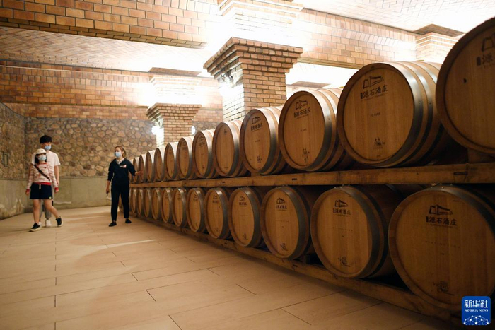 游客在位于宁夏贺兰山东麓的志辉源石酒庄参观游览（9月20日摄）。