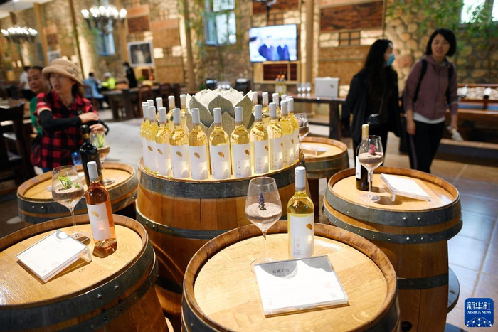 游客在位于宁夏贺兰山东麓的志辉源石酒庄参观游览（9月20日摄）。