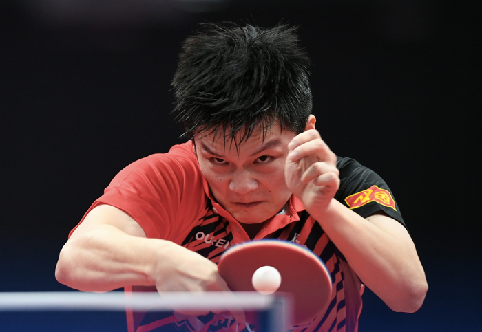 眼神犀利的樊振东。