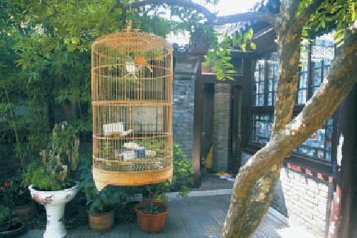 宅院里的鸟笼（大金丝胡同）。蒋晨明 摄