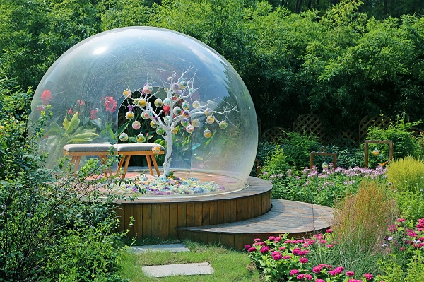 图说：上海植物园秋季花展 采访对象供图（下同）