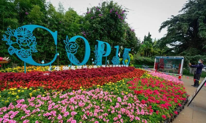 COP15即将在昆明召开 龙宇丹 摄