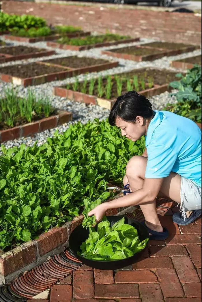 “乡聚”。俞昌斌 摄