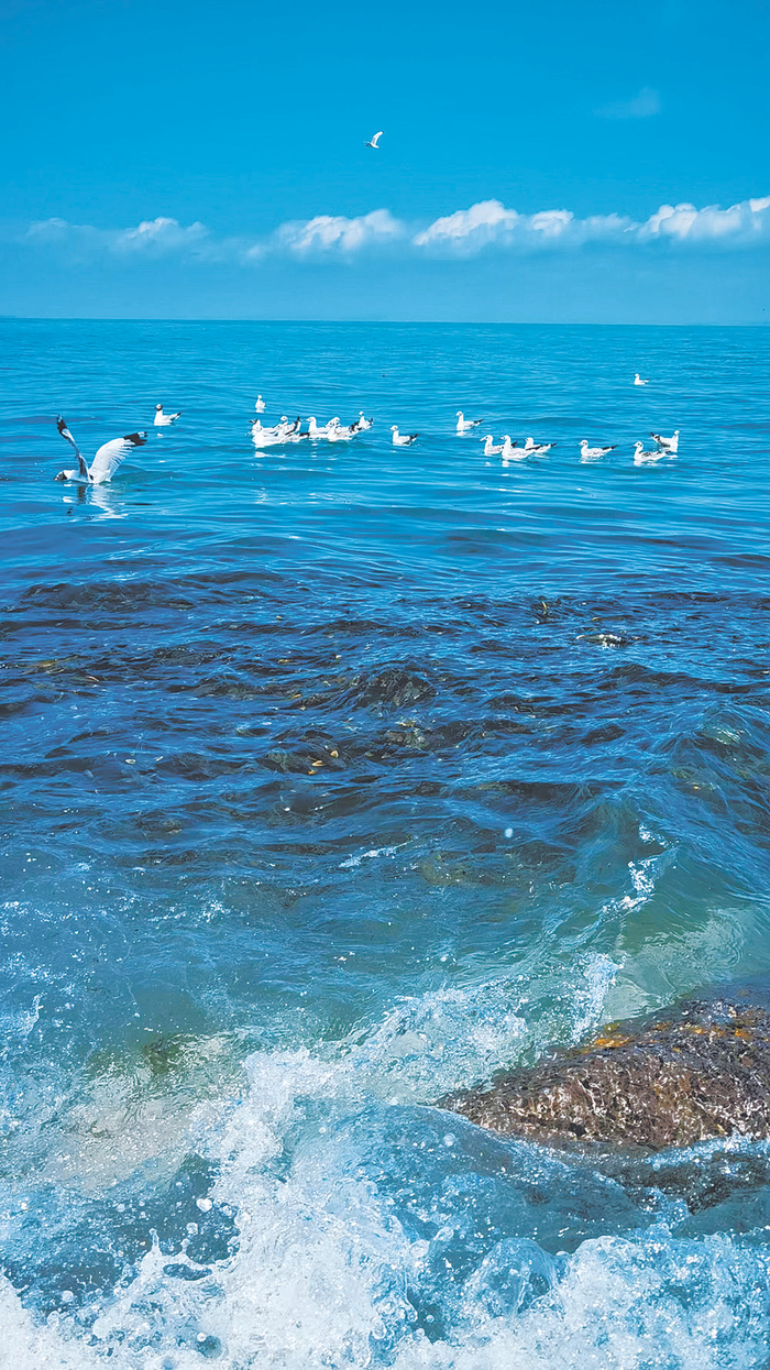 美丽的青海湖。（华旦扎西  摄）