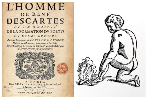 图1：描绘哲学家勒内·笛卡尔设想中热量如何向大脑发送机械信号的插图。
