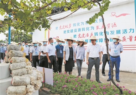 与会人员在贵港市参观食用菌和中草药等特色产业。张庆杰 摄
