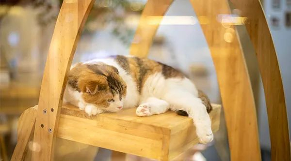 图源：图虫创意