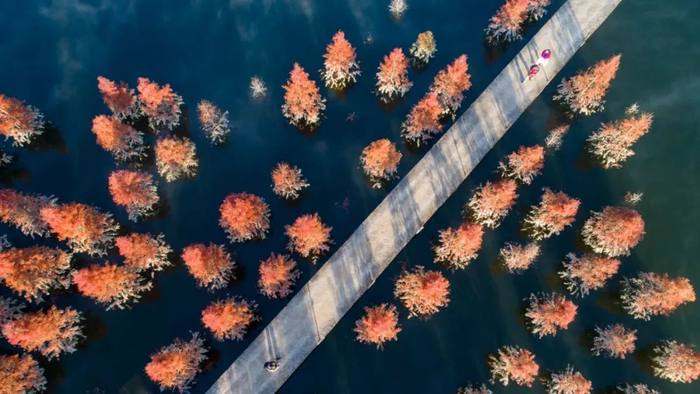 游客在湿地游玩 图源：新华社