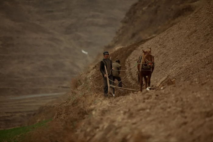  随着降水量增加，甘肃很多荒地已经开始种植中草药
