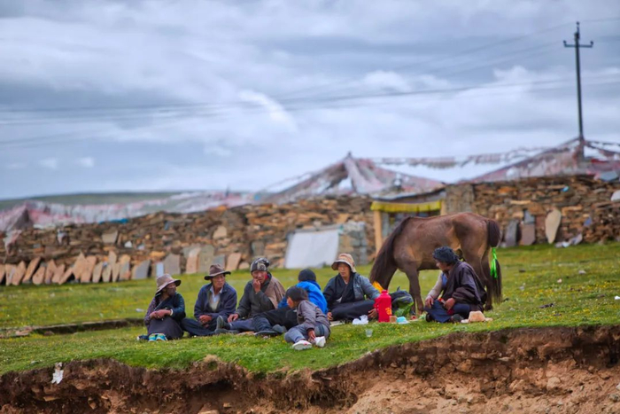  青海的草原植被只有薄薄的一层，生态环境十分脆弱