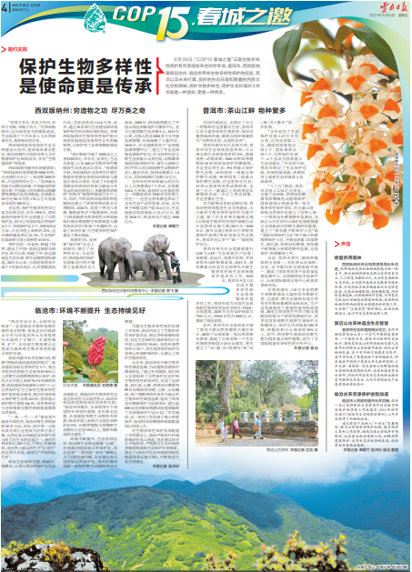 云南日报报道 版面截图