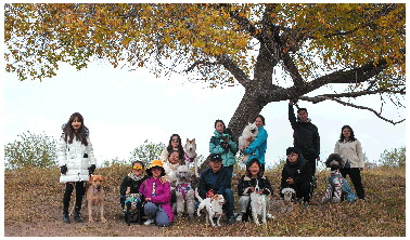 宠物旅游团在济南悄然兴起，并受到不少人欢迎。　受访者供图