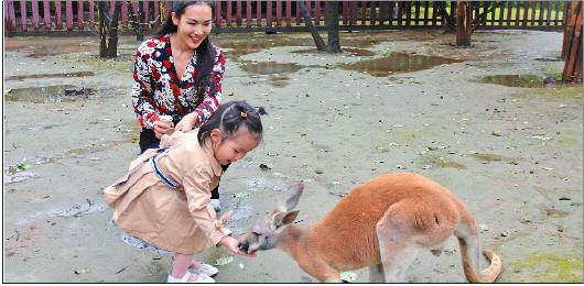 这个假期还是以短途游为主，济南野生动物世界吸引了很多人自驾前往。 景区供图
