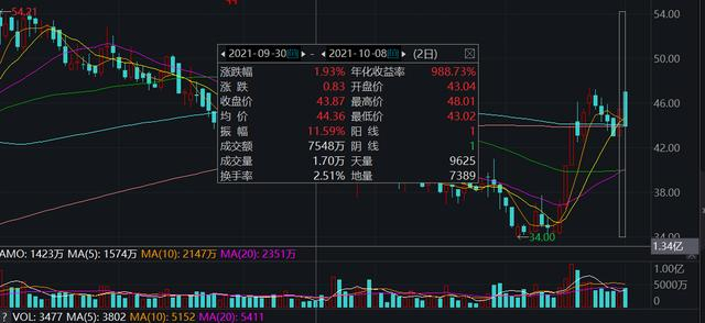 （截图来自Wind金融终端）
