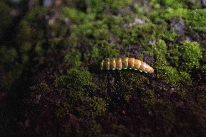 周云 艾青 李成智 摄