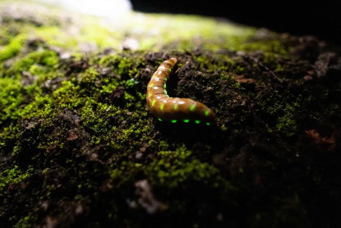 周云 艾青 李成智 摄