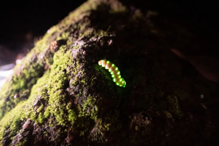 周云 艾青 李成智 摄