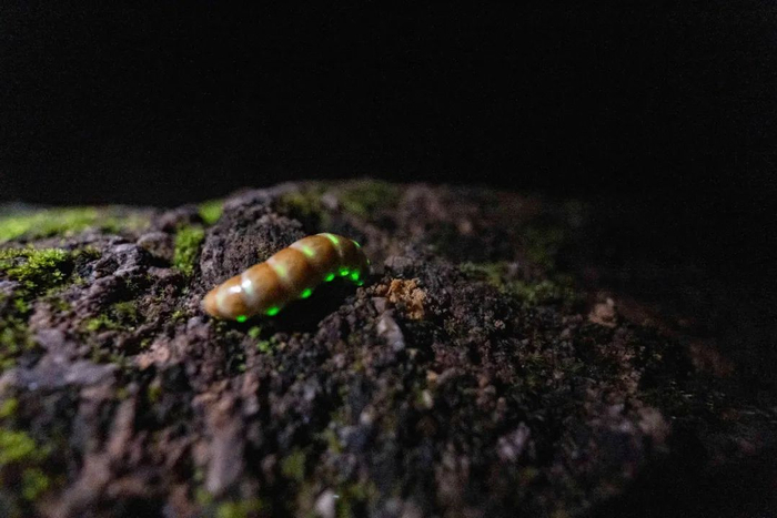 周云 艾青 李成智 摄