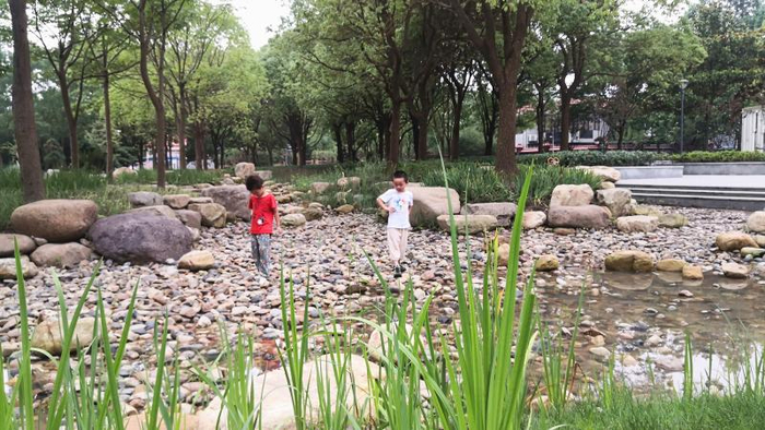 闵行区的清溪园，孩子们喜欢踩在鹅卵石上过“溪”  陈玺撼 摄