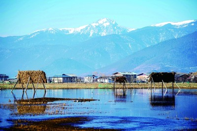 位于云南香格里拉的纳帕海湿地景致。新华社发
