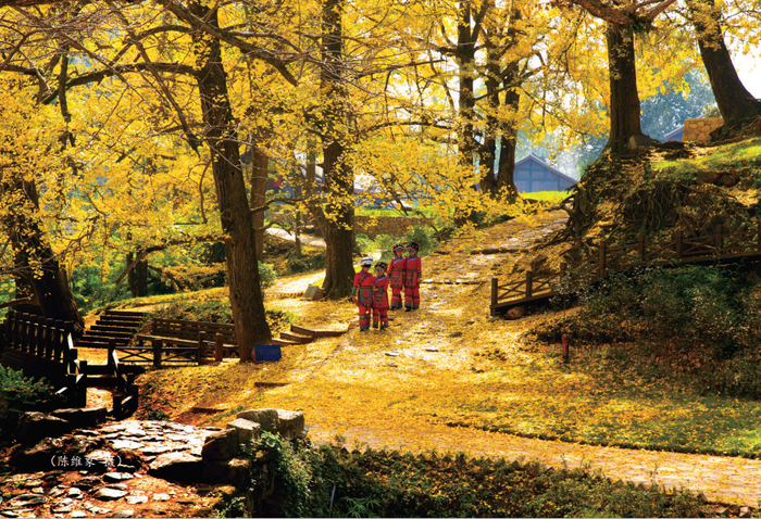 资料图：深秋的妥乐村