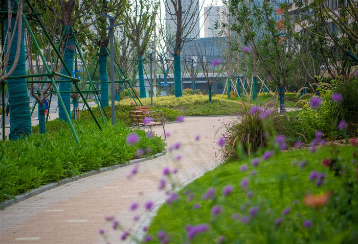 静安区的昌平路绿地，“见缝插针”式的街心花园  孟雨涵 摄