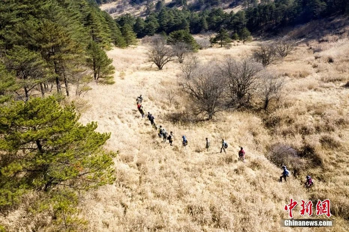 科考人员行进在武夷山国家公园腹地。王东明 摄