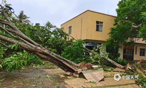 图片来源：中国天气网