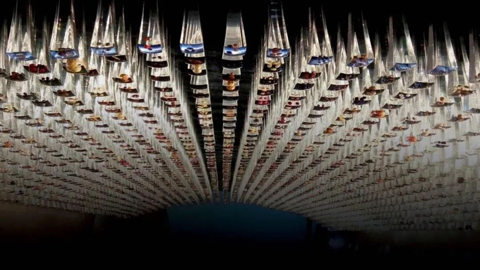 中国科学院昆明植物研究所的种子标本。摄影/勾雪娇