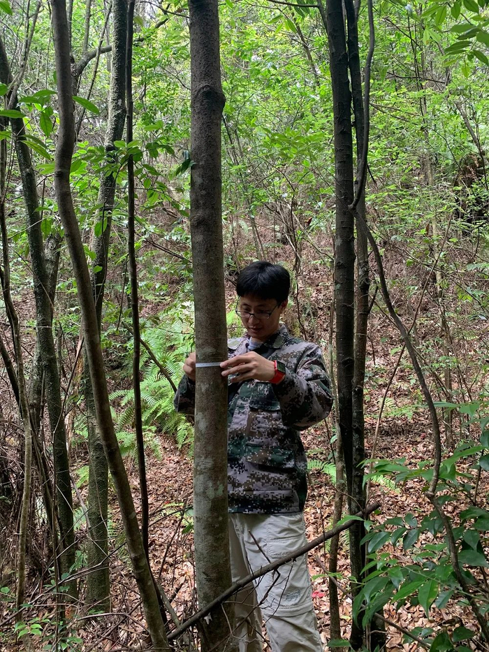▲ 浙江钱江源森林生物多样性国家野外科学观测研究站站长、研究员陈磊在进行野外调查。
