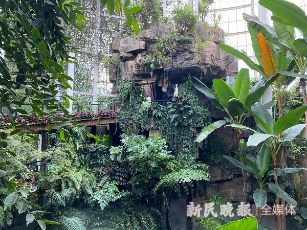 图说：扶荔宫内植物丰富 新民晚报记者杨硕/摄 下同