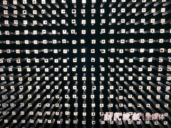 图说：种子博物馆内藏有多种植物种子