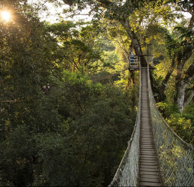 图源：ins@ inkaterrahotels