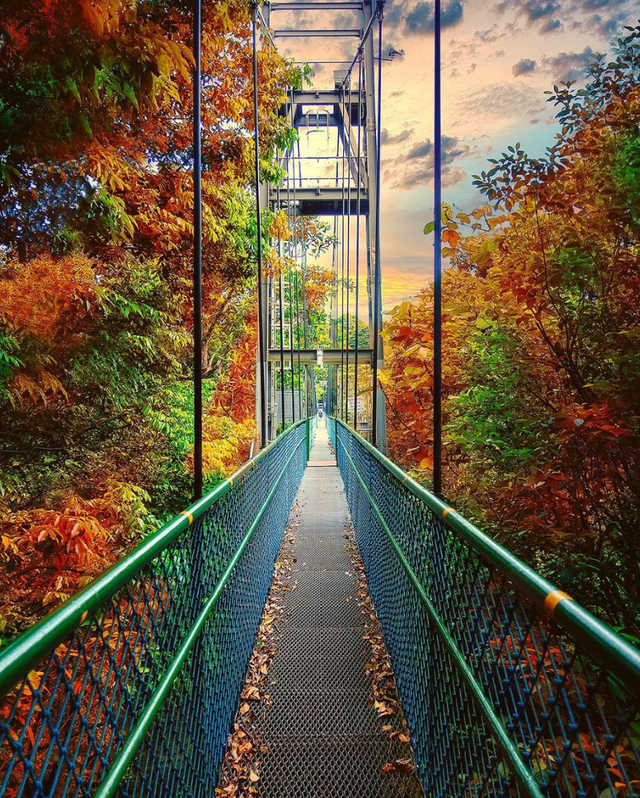 图源：ins@search.singapore